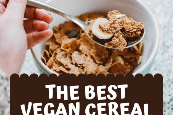 Vegan Cereal: Your Ultimate Guide to Plant-Based Breakfast Bliss