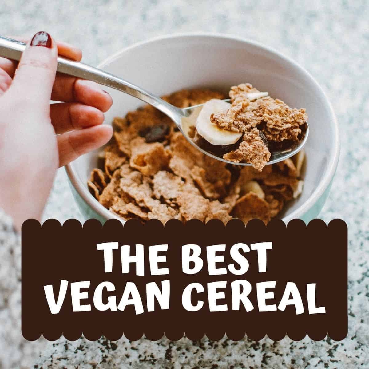 Vegan Cereal: Your Ultimate Guide to Plant-Based Breakfast Bliss