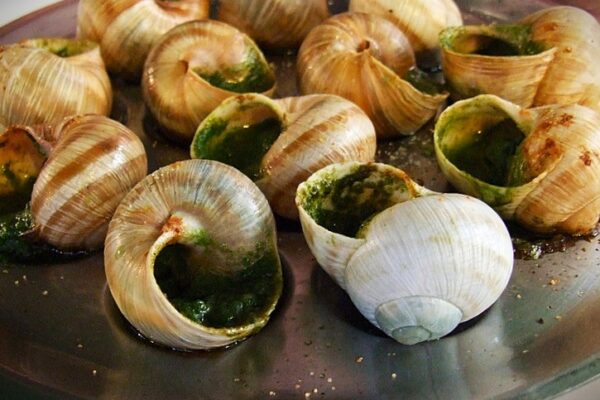 Escargot Recipe
